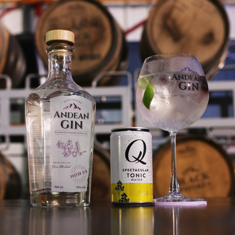 Gin Tonic
