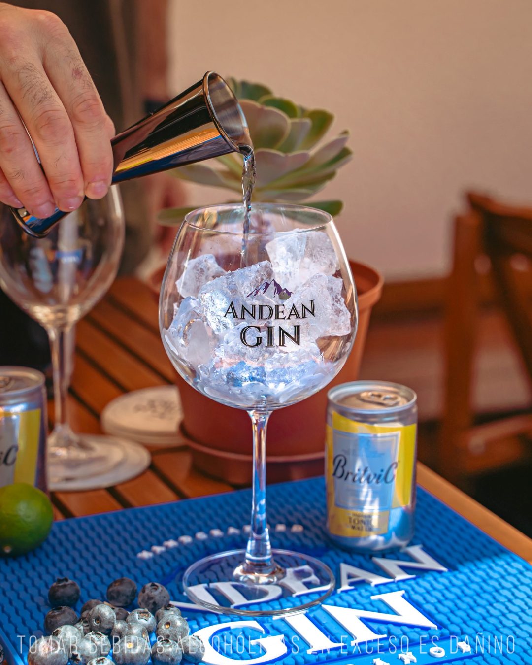 Gin Tonic