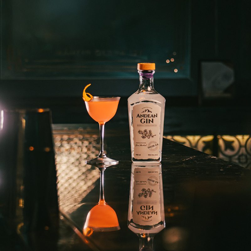 CARRUSEL GIN copia
